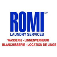 Logo romi laundry services
